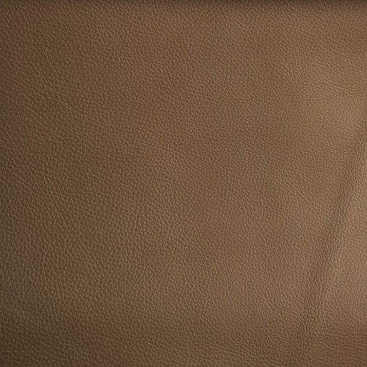 AL 539 Safari